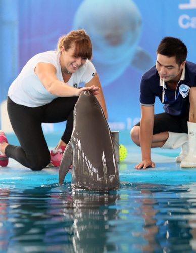 太阳依赖布 太阳依赖布