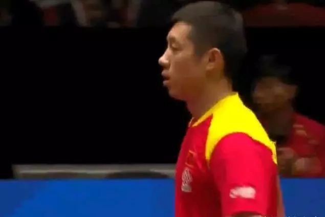 惊艳数据的 惊艳数据的